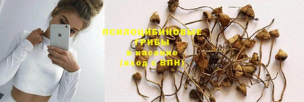 спиды Верея