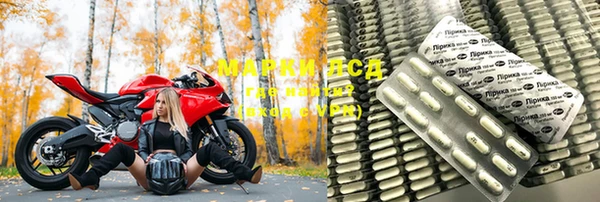 спиды Верея