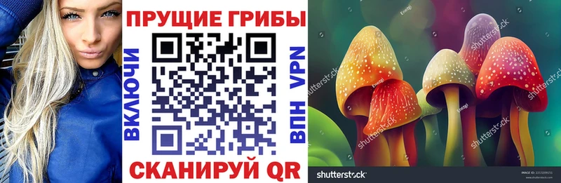 Галлюциногенные грибы Magic Shrooms  omg tor  Лодейное Поле 