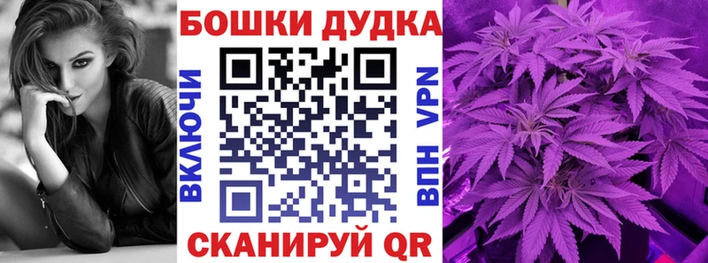 Каннабис Amnesia  Лодейное Поле 